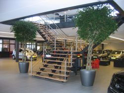 Bordestrap Autoshowroom Winschoten